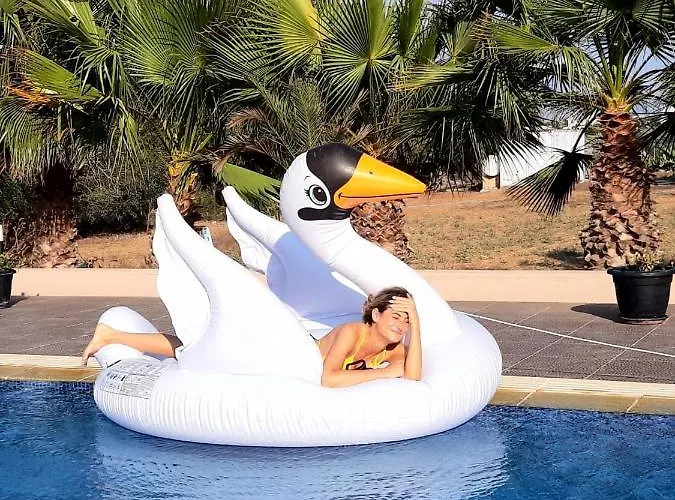 The Pervoli - Pool - Close To *