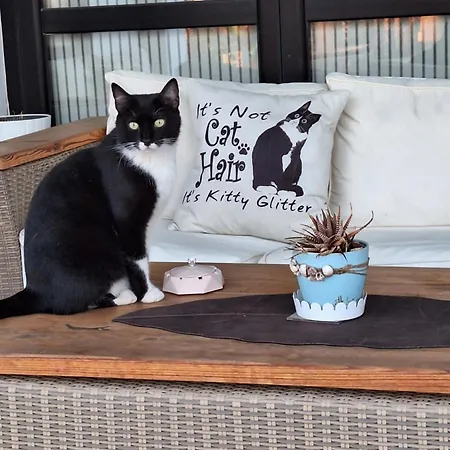 Apartman The Pervoli - Pool - Close To *