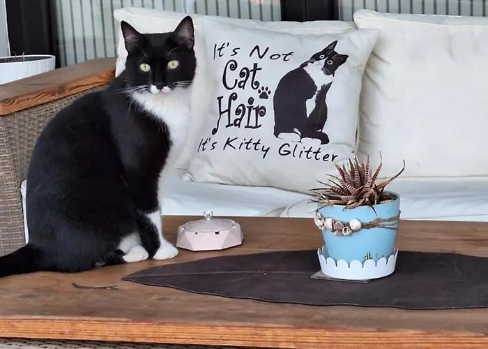 דירה The Pervoli - Pool - Close To *